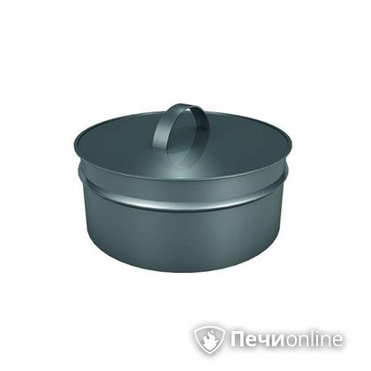 Заглушки Теплов и Сухов Заглушка ревизии Термо-Р 304 0.5 D220(120) в Саранске