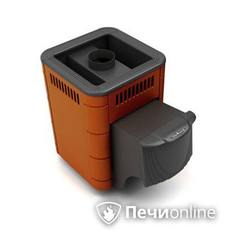 Дровяная банная печь TMF Оса Carbon терракота дверь антрацит в Саранске