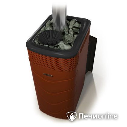 Дровяная банная печь TMF Гейзер XXL 2017 Inox Витра закрытая каменка терракота в Саранске